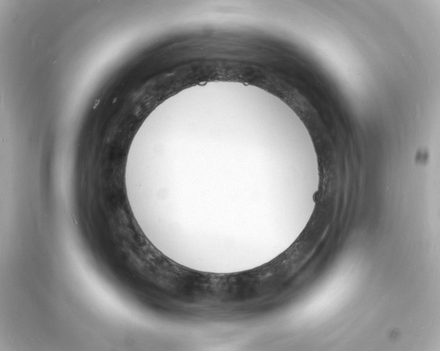 X0000093600383200711121154