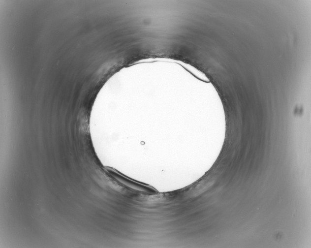 X0000093600384200711121154