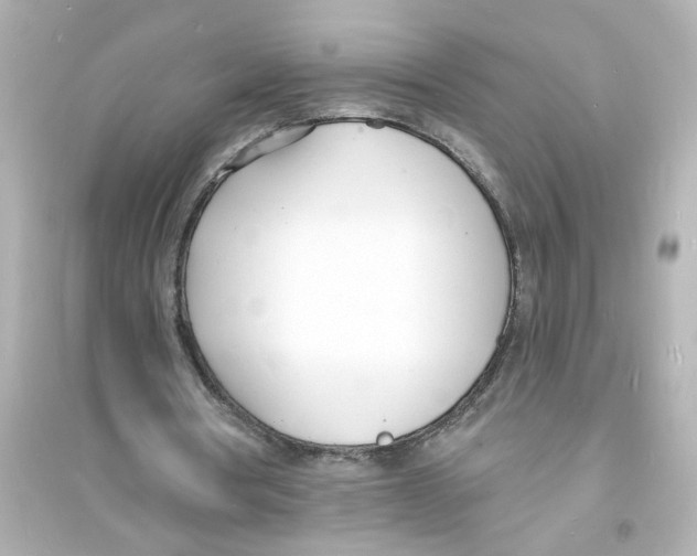 X0000093600386200711121153