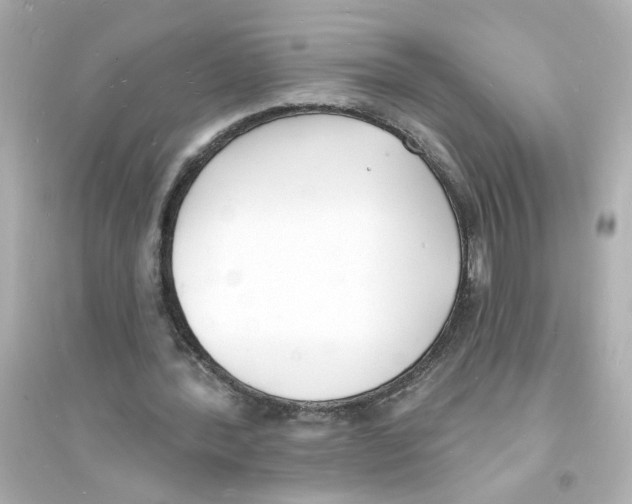 X0000093600388200711121153