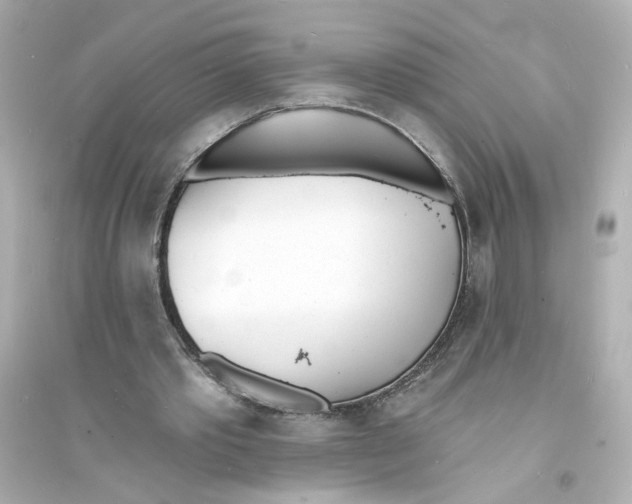 X0000093600389200711121153