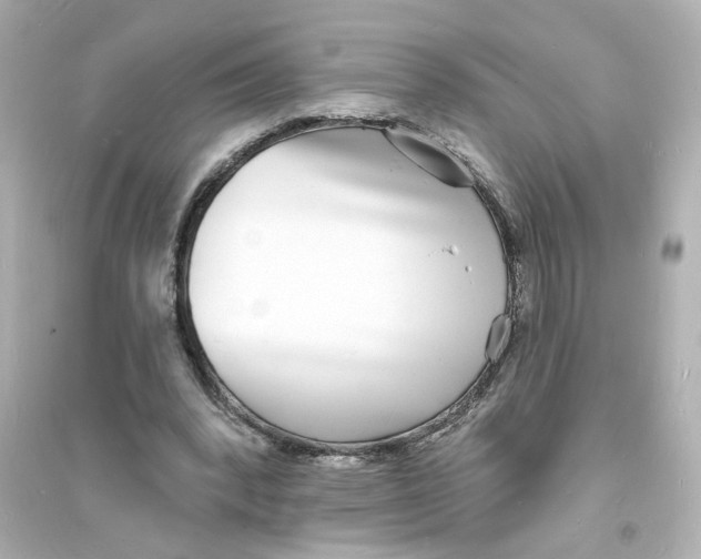 X0000093600392200711121153