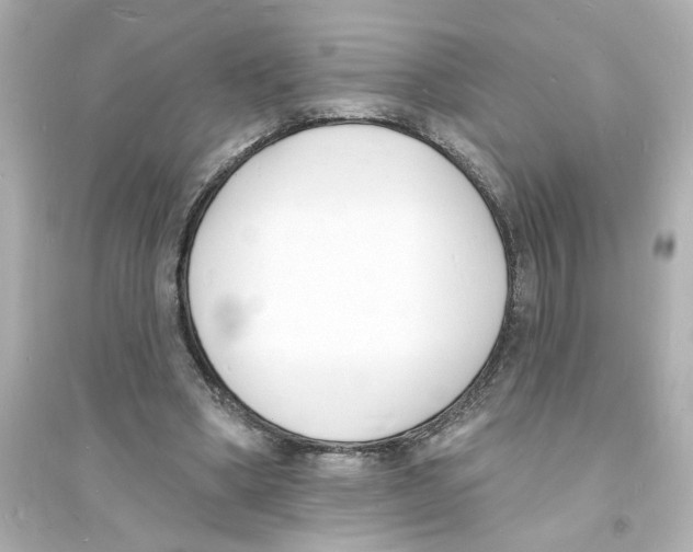 X0000093600394200711121153