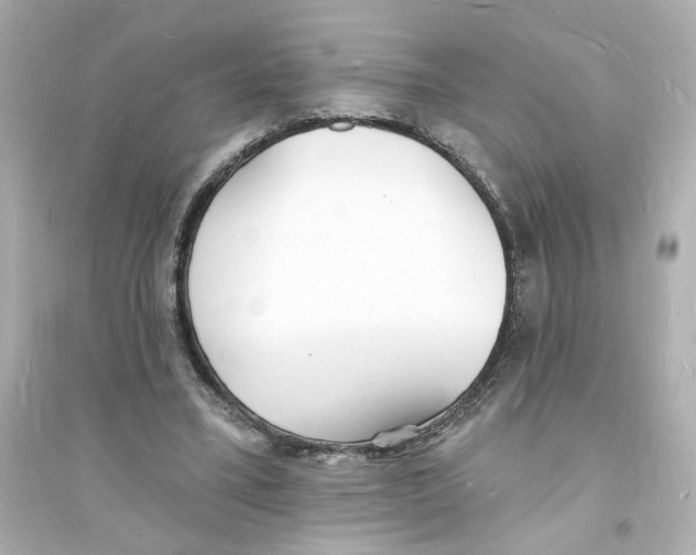 X0000093600395200711121153