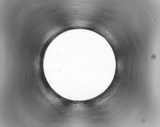 X0000093600396200711121153