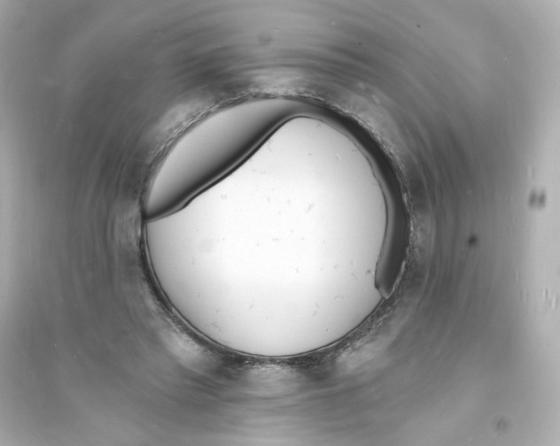 X0000093600397200711121153