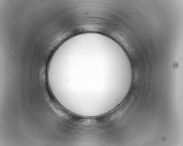 X0000093600398200711121153