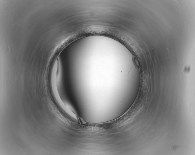 X0000093600399200711121153