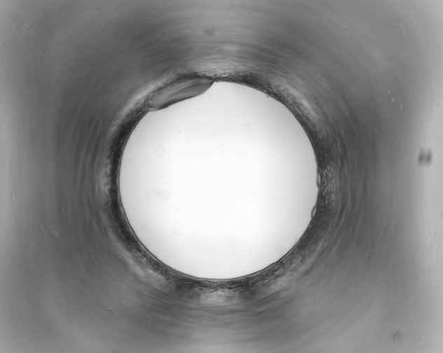 X0000093600400200711121153