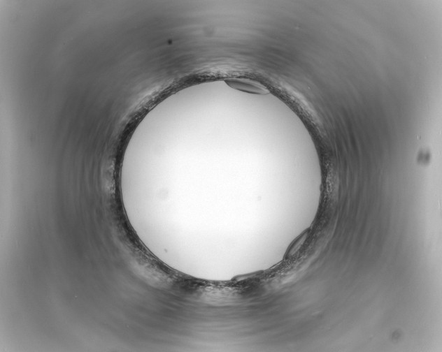 X0000093600403200711121153