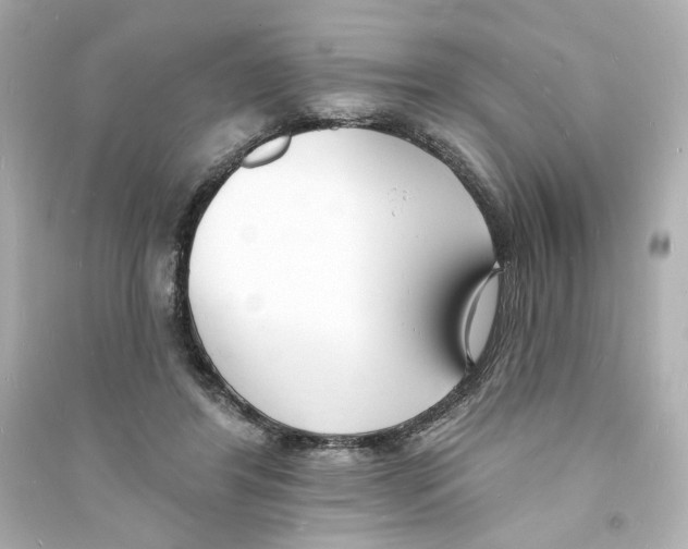 X0000093600404200711121153