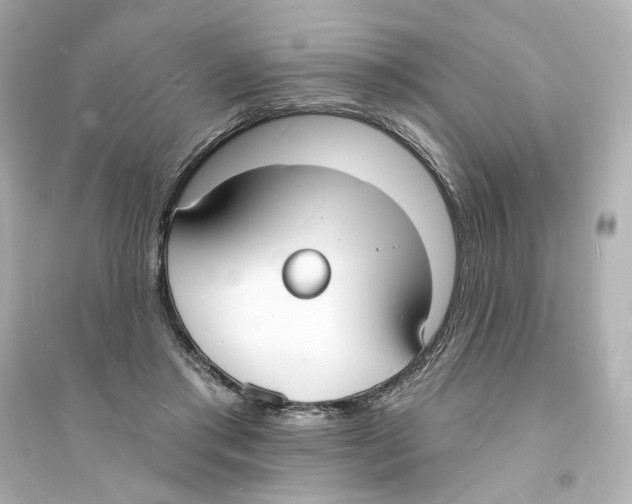 X0000093600405200711121153