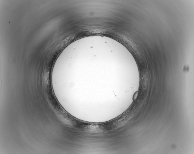 X0000093600406200711121153