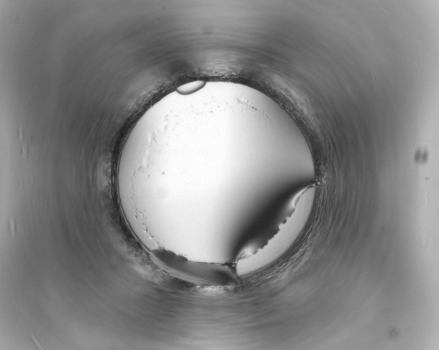 X0000093600407200711121153