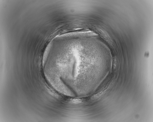 X0000093600409200711121153