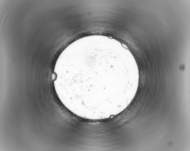 X0000093600411200711121153