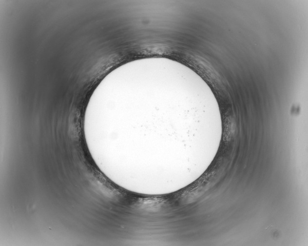 X0000093600414200711121153