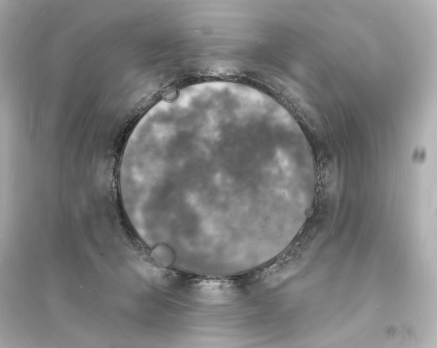 X0000093600415200711121153