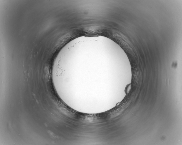 X0000093600420200711121153