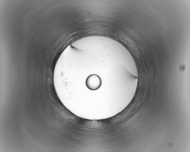 X0000093600421200711121153