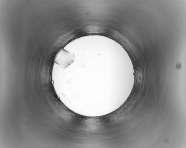 X0000093600422200711121153