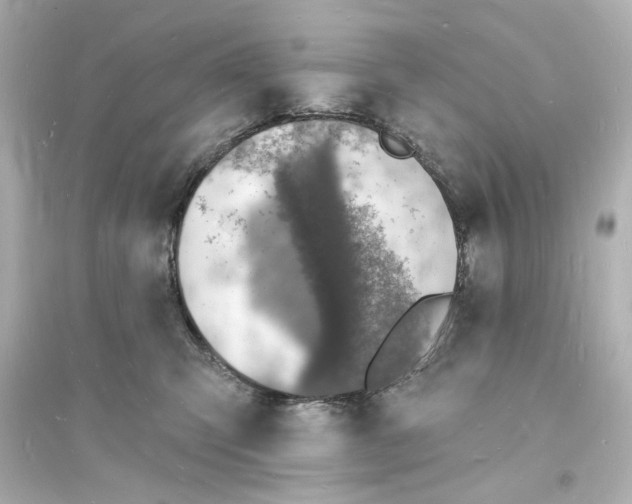 X0000093600423200711121153