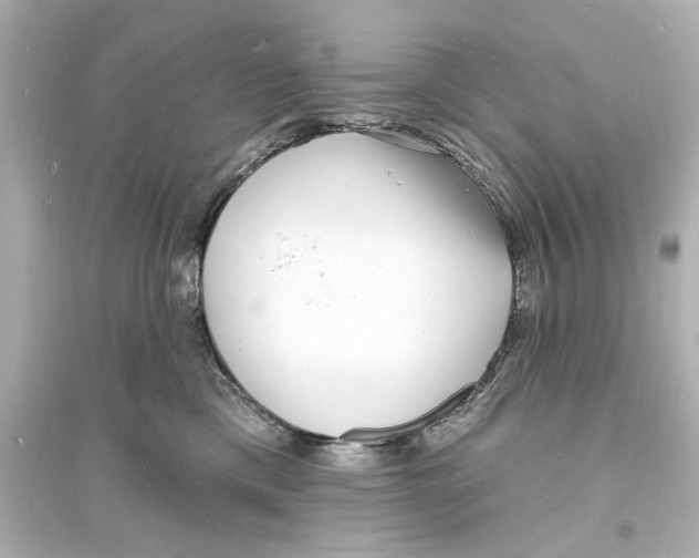 X0000093600425200711121153