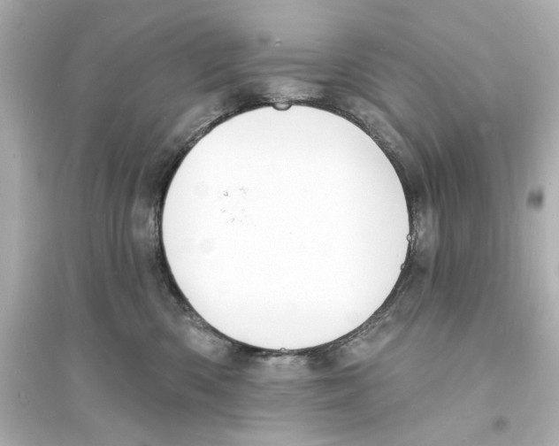 X0000093600426200711121153