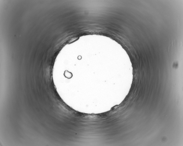 X0000093600428200711121153