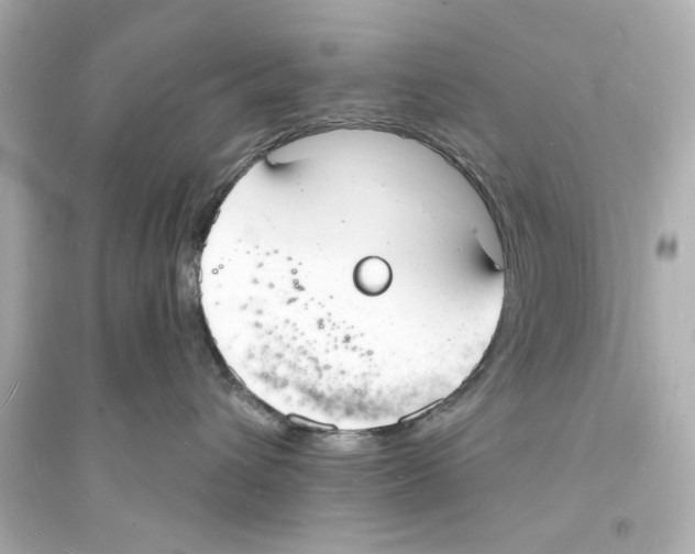 X0000093600432200711121153