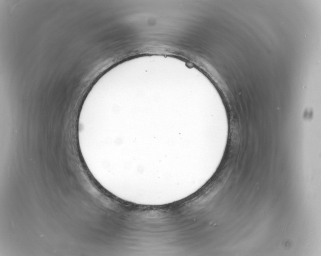 X0000093600433200711121152