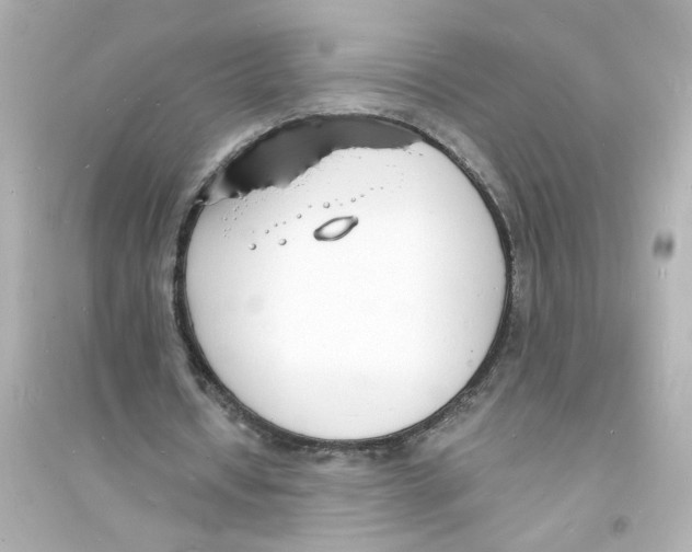 X0000093600434200711121152