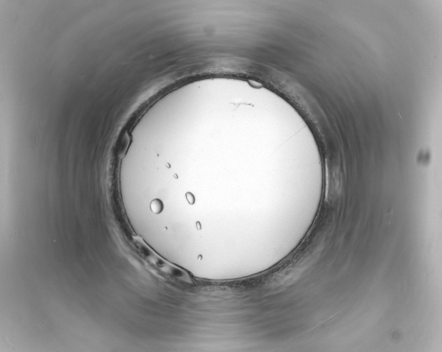 X0000093600435200711121152