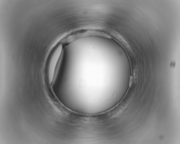 X0000093600436200711121152