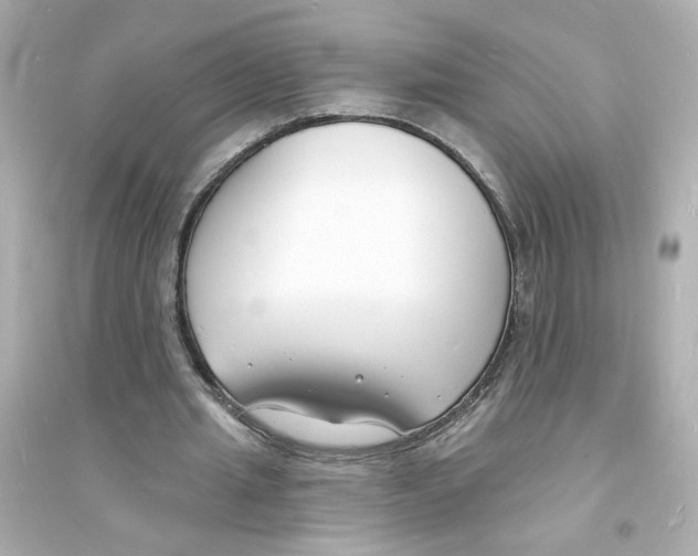 X0000093600437200711121152