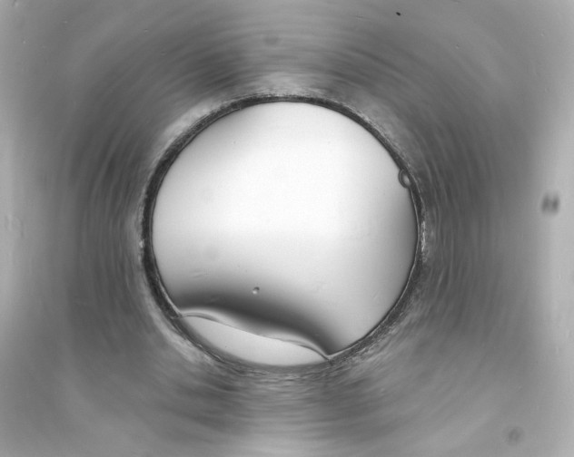 X0000093600438200711121152