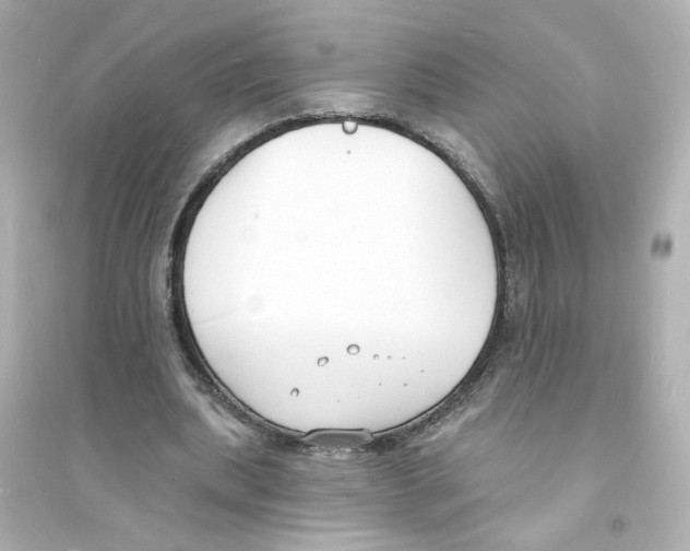 X0000093600439200711121152