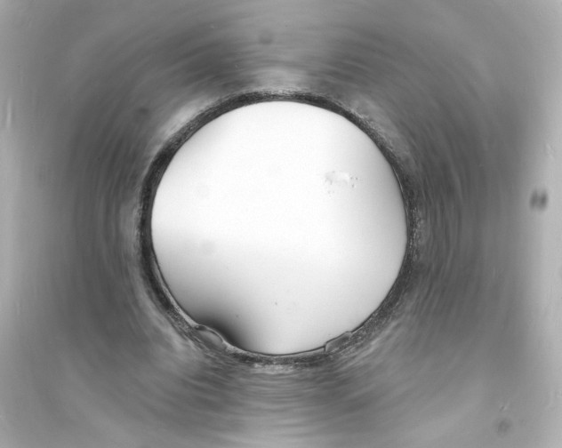 X0000093600440200711121152