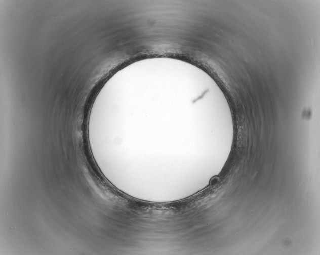 X0000093600443200711121152