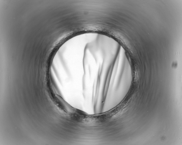 X0000093600444200711121152