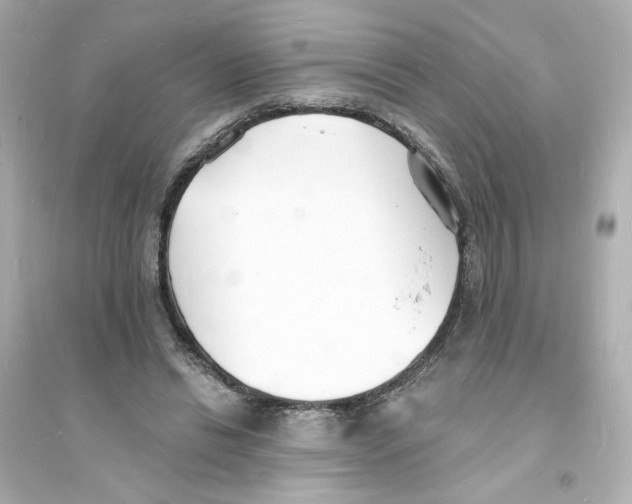 X0000093600446200711121152