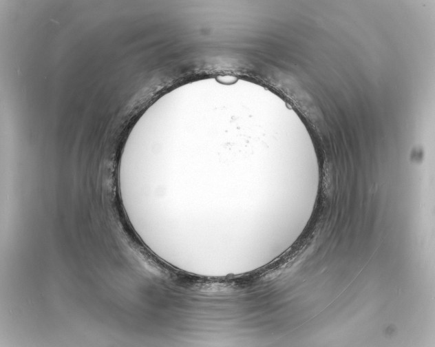 X0000093600449200711121152