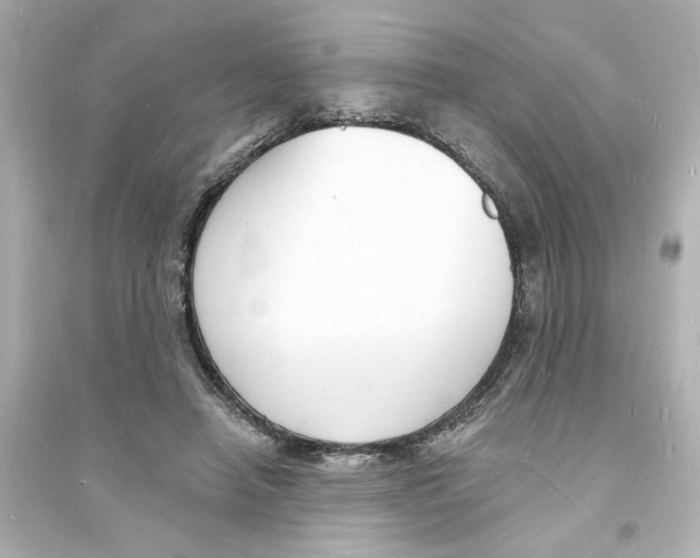 X0000093600450200711121152