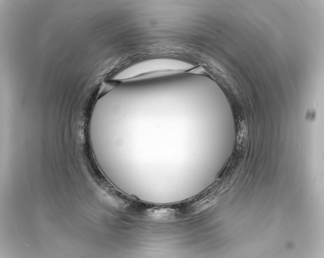 X0000093600452200711121152