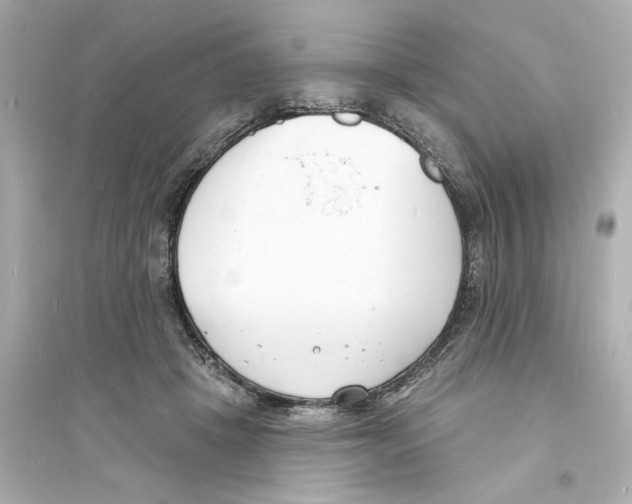 X0000093600457200711121153