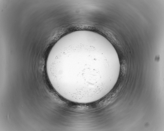 X0000093600458200711121153