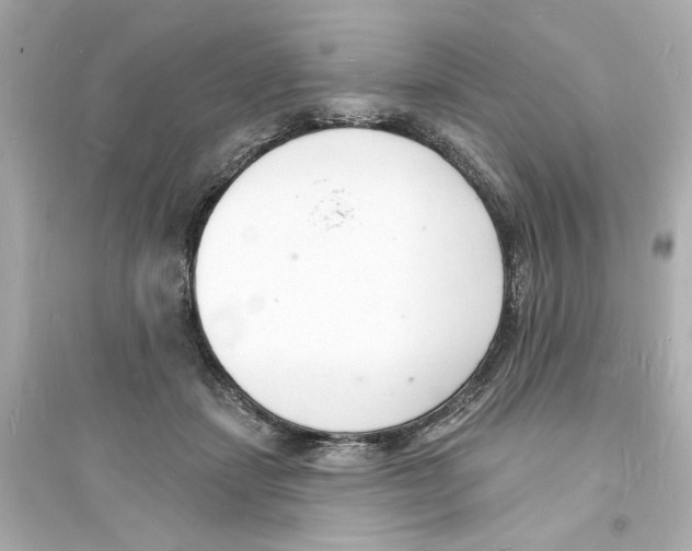 X0000093600459200711121153