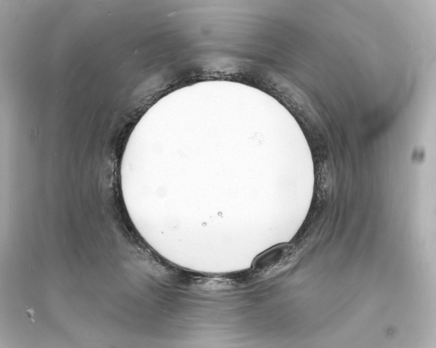 X0000093600463200711121153