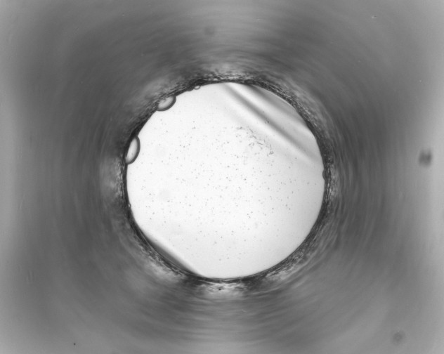 X0000093600465200711121153