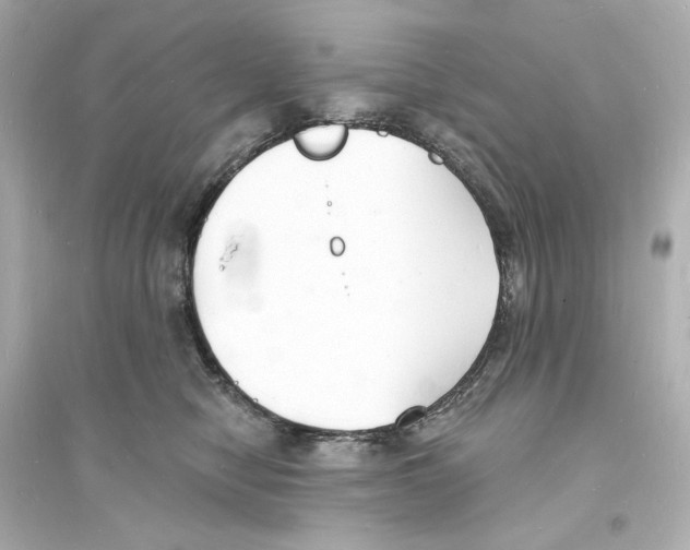 X0000093600470200711121153